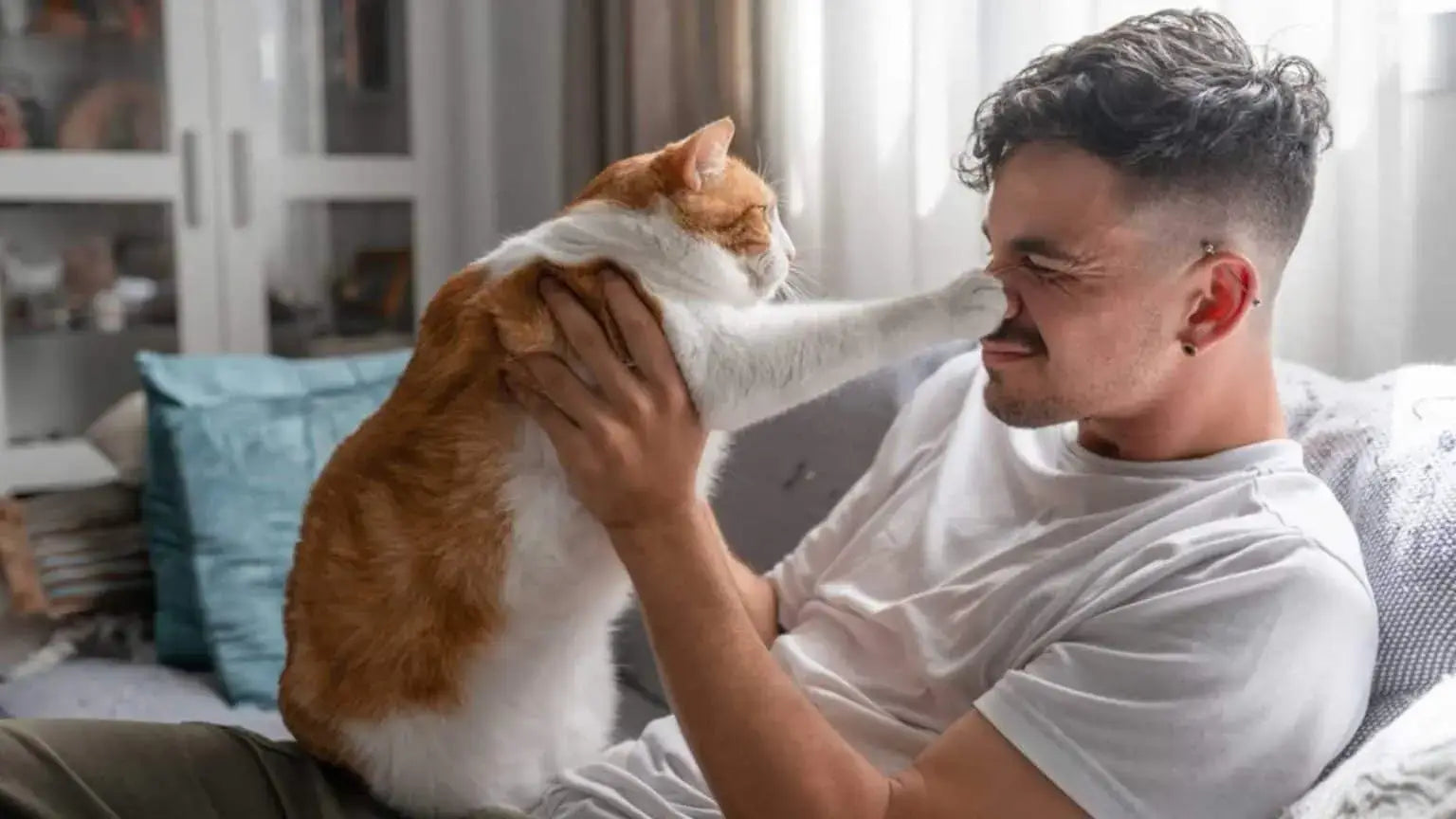 files/Cat-and-man-1536x864_1.webp