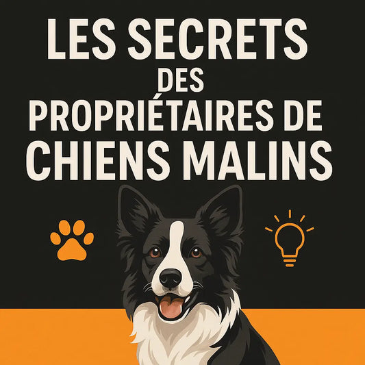 LES SECRETS DES PROPRIETAIRES DE CHIENS MALINS