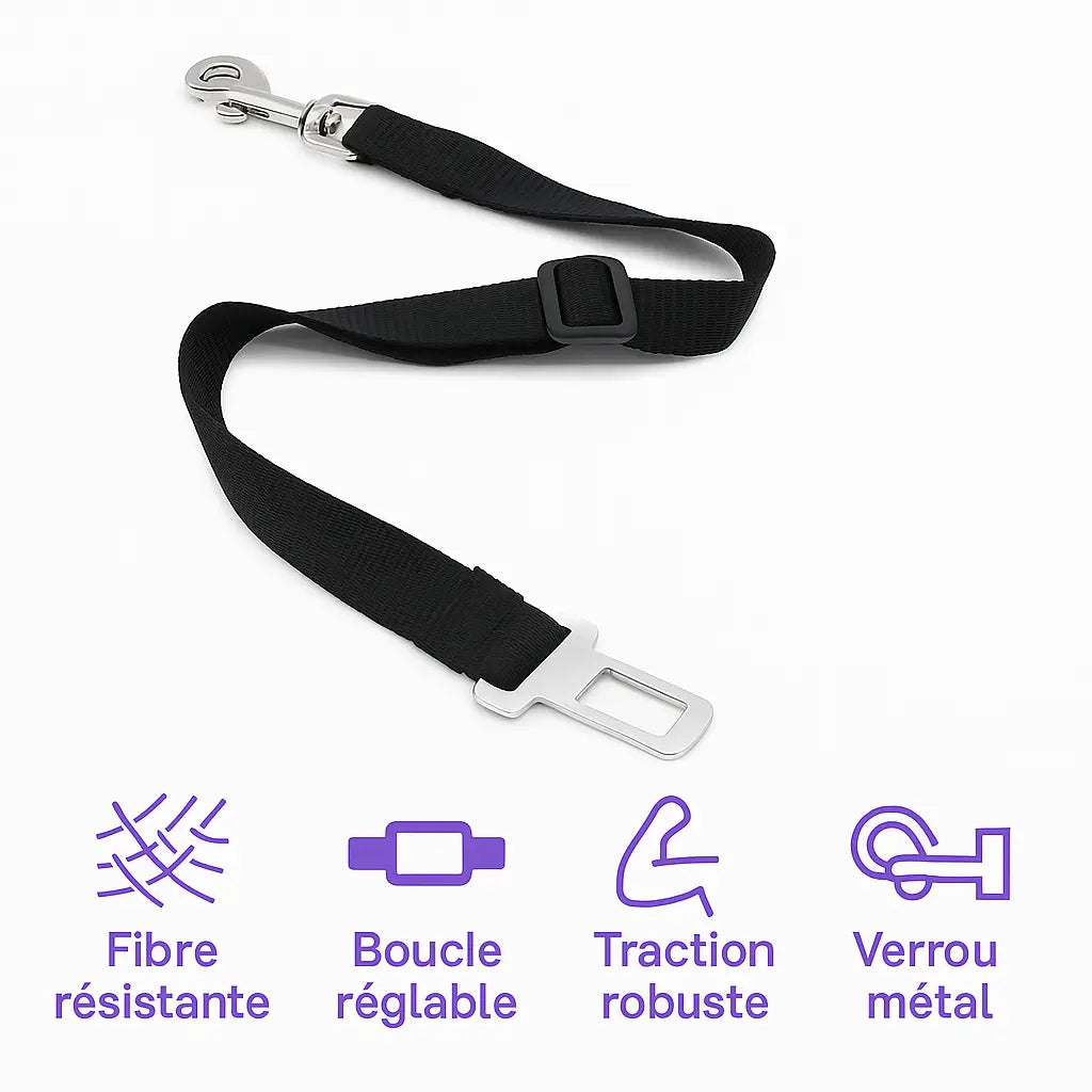 Ceinture de Sécurité pour Chien
