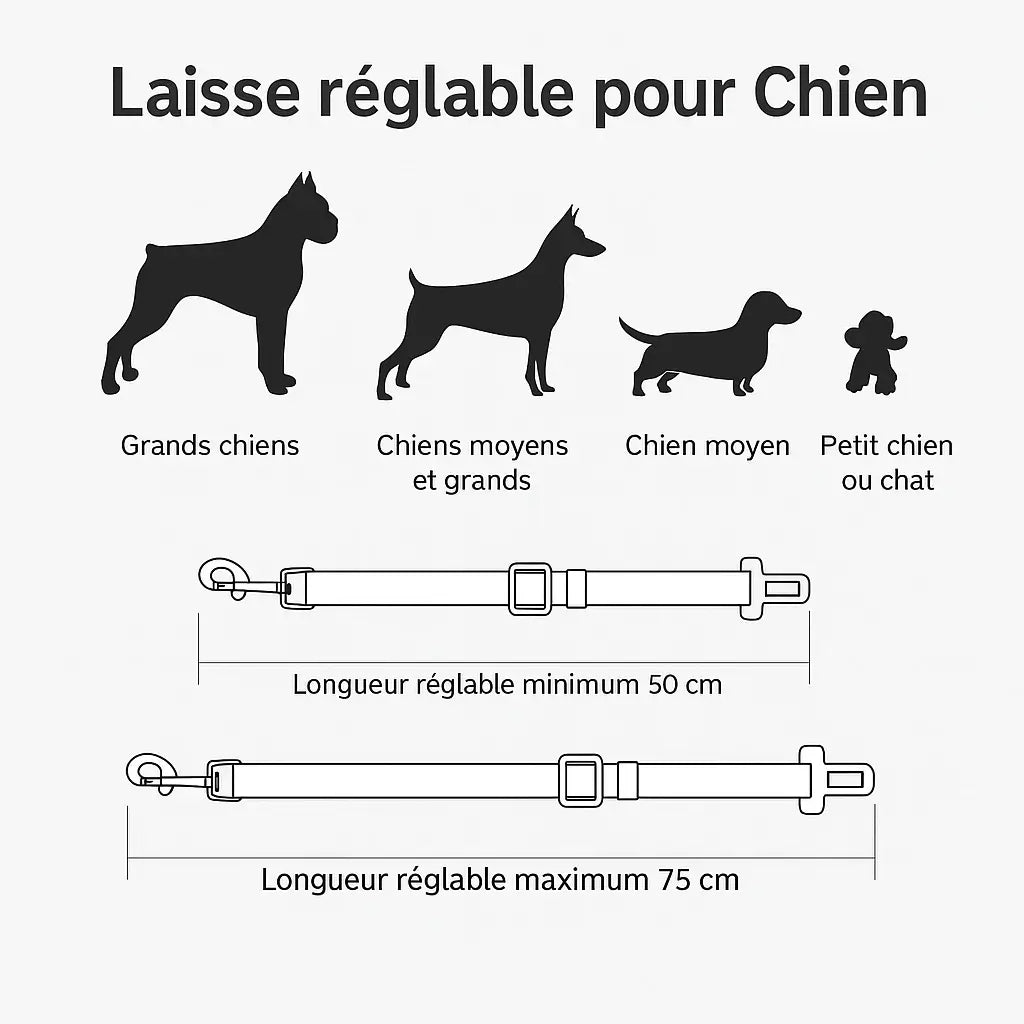 Ceinture de Sécurité pour Chien