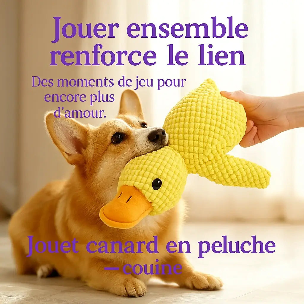 Compagnon Canard Couineur
