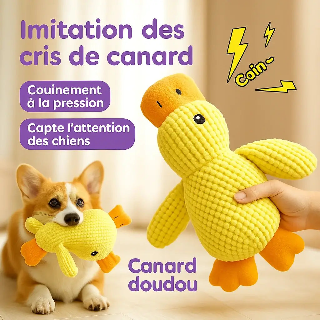 Compagnon Canard Couineur