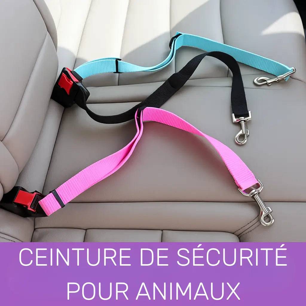Ceinture de Sécurité pour Chien