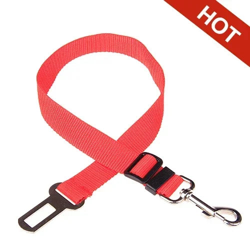 Ceinture de Sécurité pour Chien