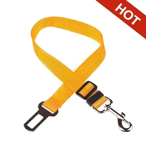 Ceinture de Sécurité pour Chien