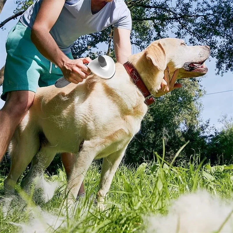 Brosse Anti-Poils 2-en-1 Chien & Chat