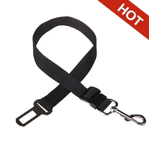 Ceinture de Sécurité pour Chien