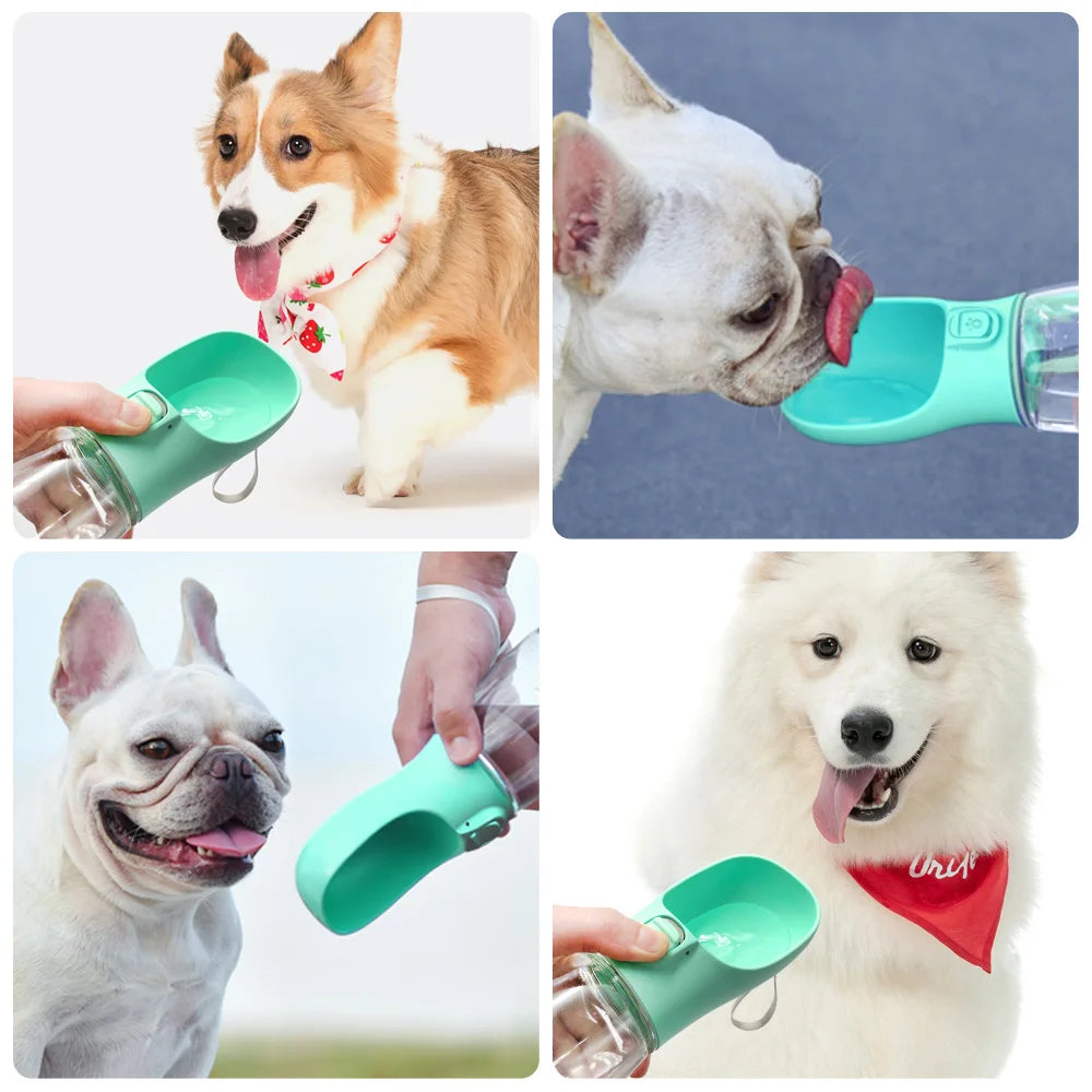 Gourde portable pour chiens & chats