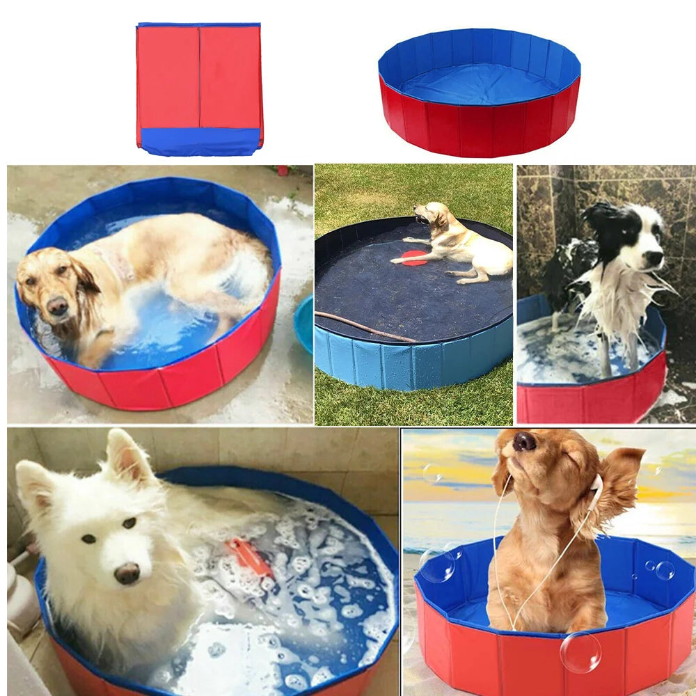 Piscine Pliable pour Chien