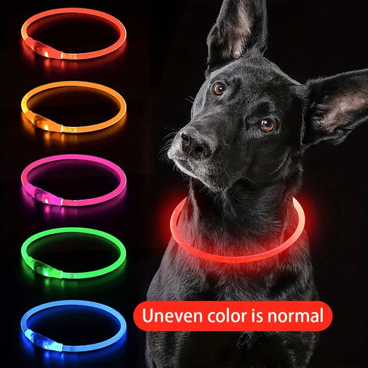 Collier Lumineux LED – Rechargeable USB
