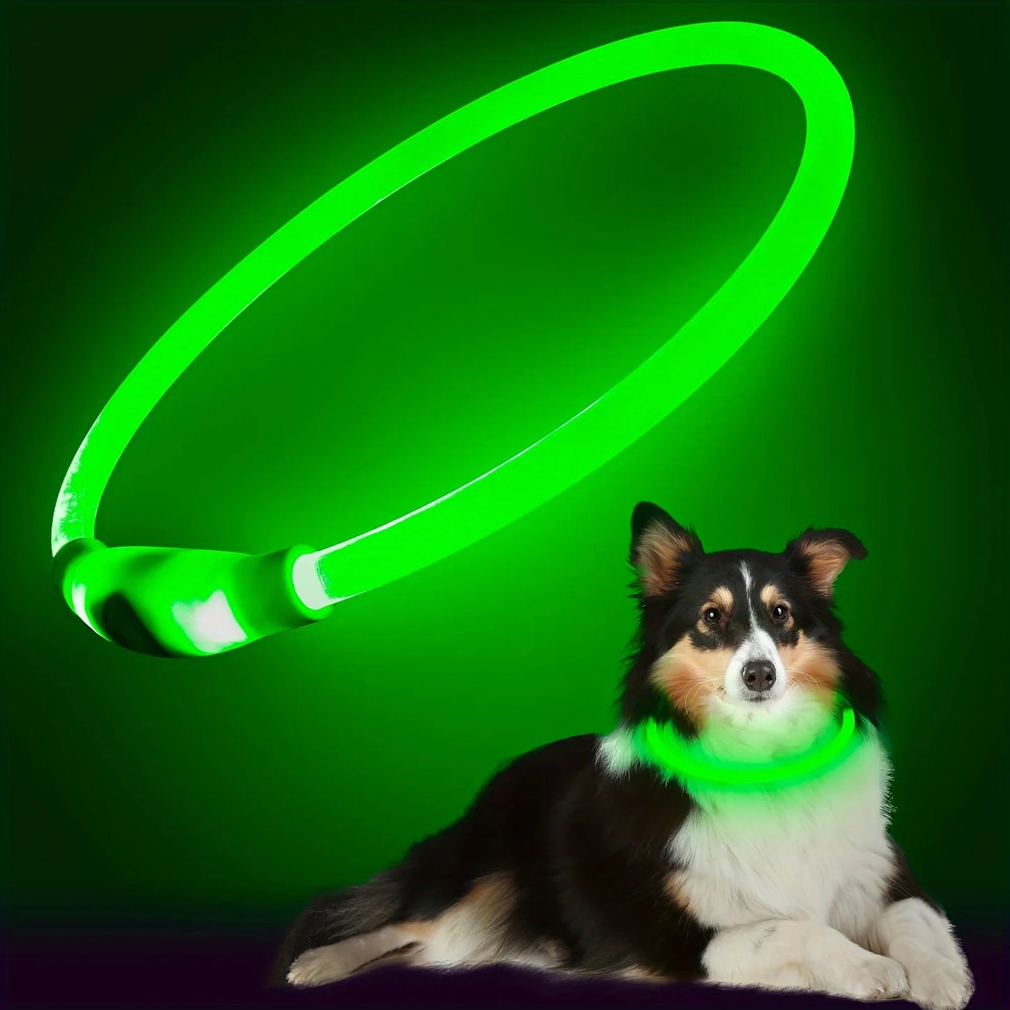 Collier Lumineux LED â Rechargeable USB