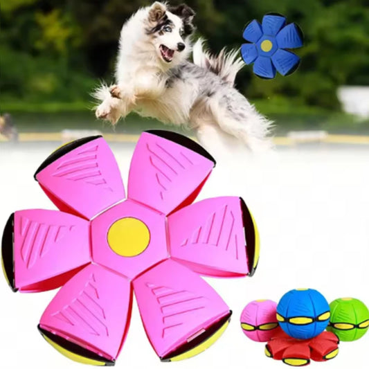 Balle rebondissante 2-en-1 pour chiens