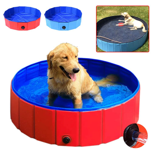 Piscine Pliable pour Chien