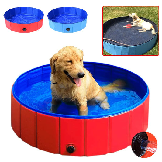 Piscine Pliable pour Chien