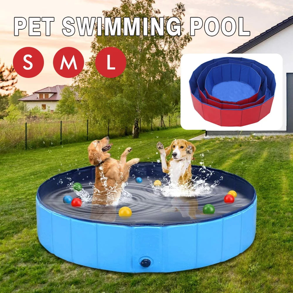 Piscine Pliable pour Chien