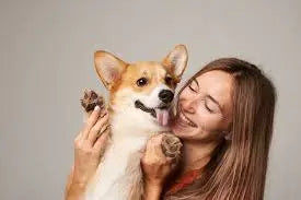 files/images-_3.webp