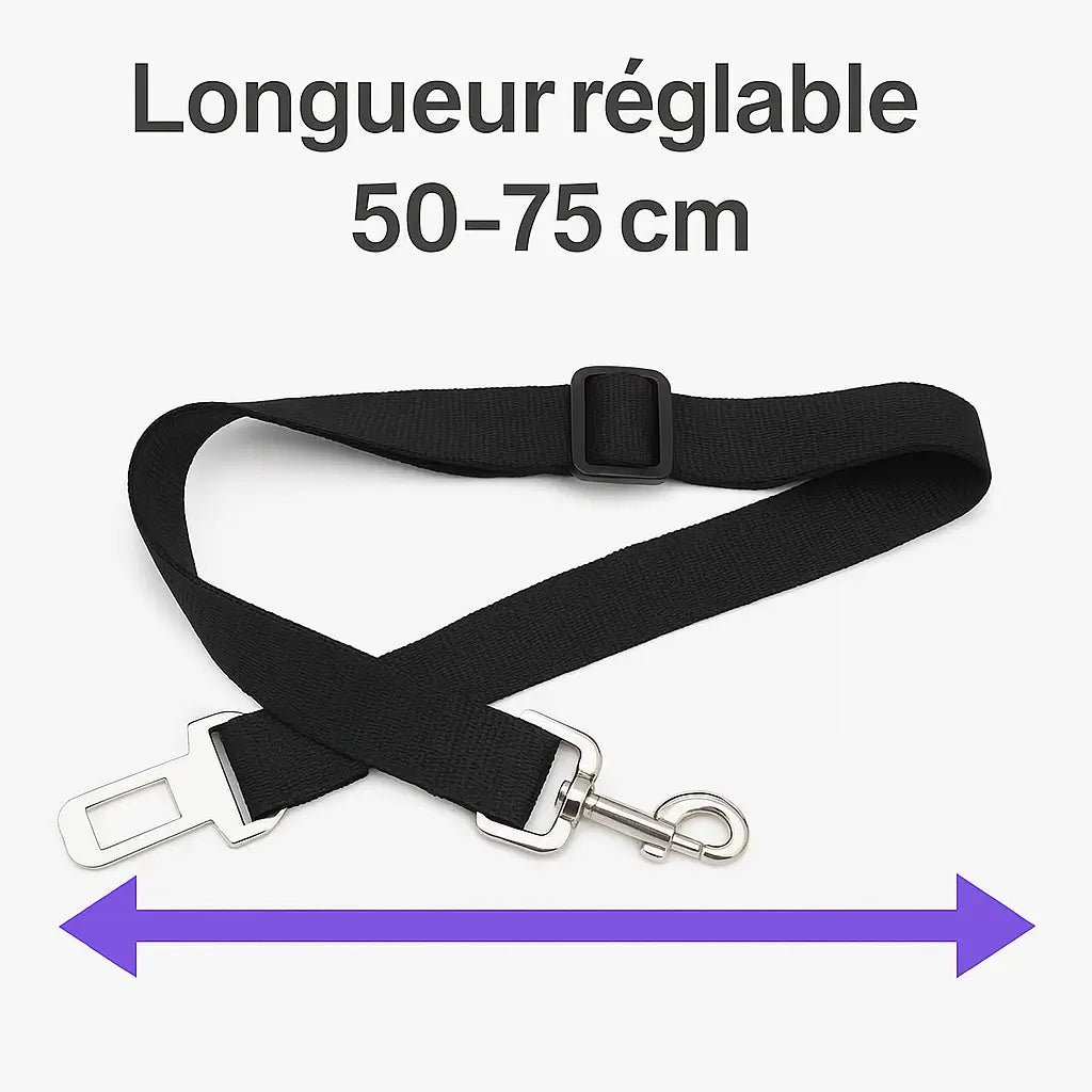 Ceinture de Sécurité pour Chien
