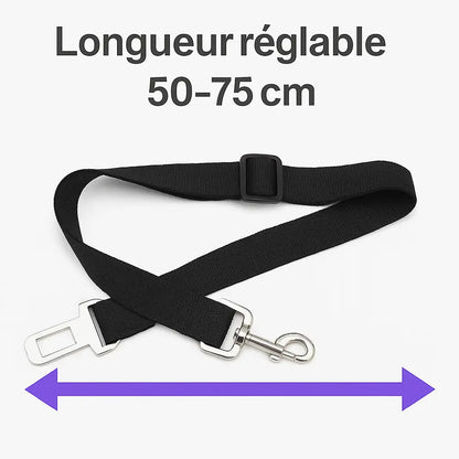 Ceinture de Sécurité pour Chien