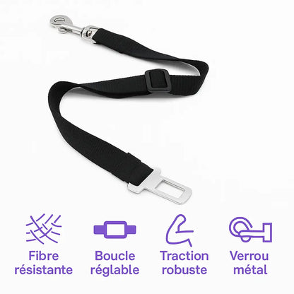 Ceinture de Sécurité pour Chien