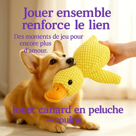 Compagnon Canard Couineur