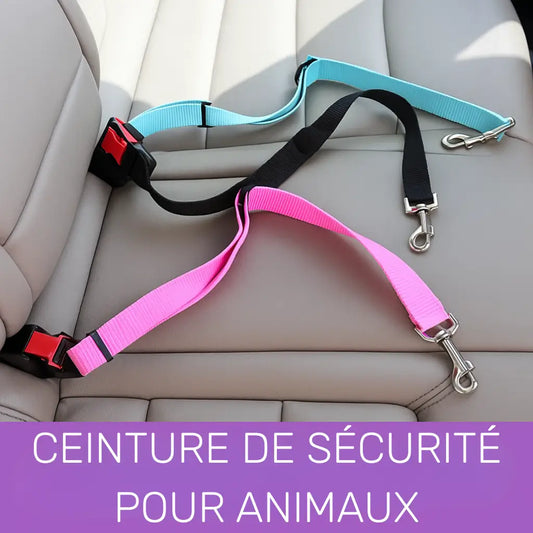 Ceinture de Sécurité pour Chien