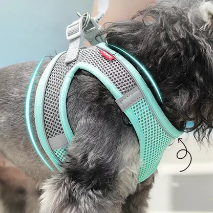 Harnais et Laisse Réglable – Petits Chiens