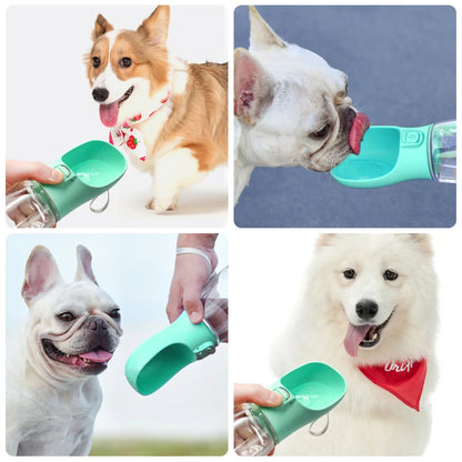 Gourde portable pour chiens & chats
