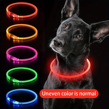 Collier Lumineux LED – Rechargeable USB