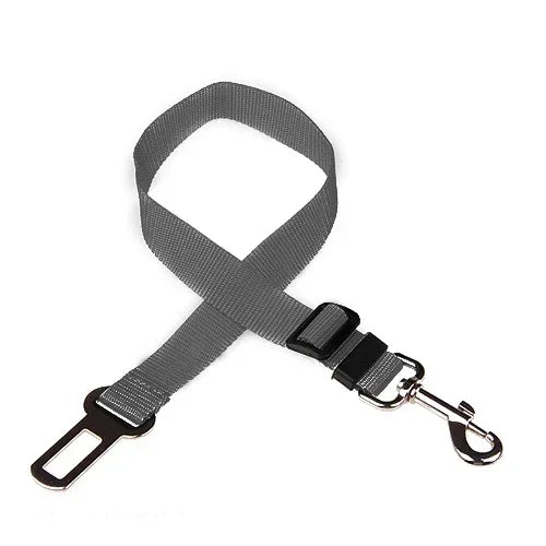 Ceinture de Sécurité pour Chien