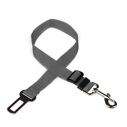 Ceinture de Sécurité pour Chien