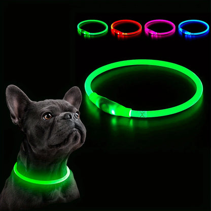 Collier Lumineux LED – Rechargeable USB