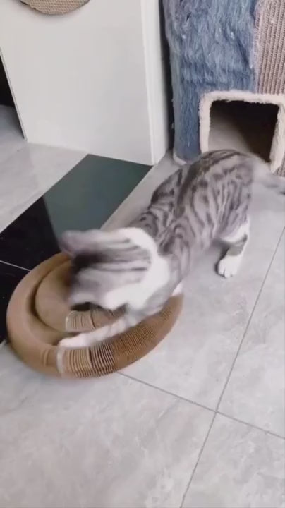 TwistiCat™